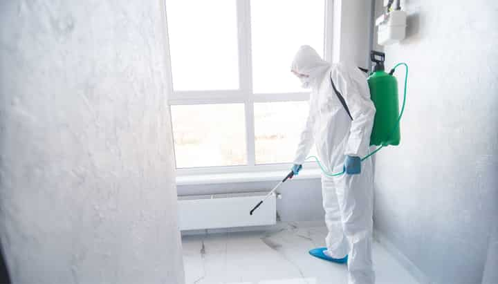 mold removal washington il